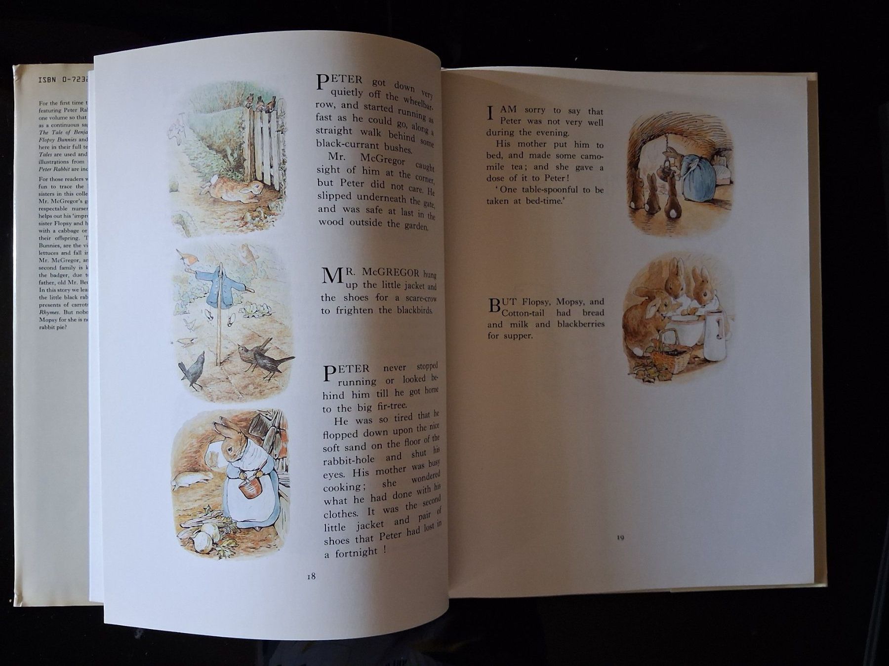 Livres: Peter Rabbit Beatrix Potter, Complete adventures - 1987 – D'occasion à Cartigny par pgc_fk9s 4