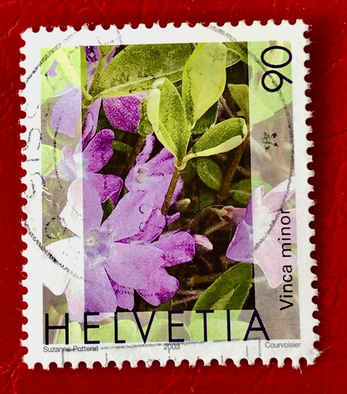 Tutti i francobolli: Nr.1074 Gemeines Flora,Immmergrün GESTEMPELT 2003     – Usato da Aarau venduto da Billa007