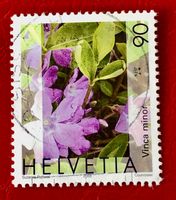 Nr.1074 Gemeines Flora,Immmergrün GESTEMPELT 2003    