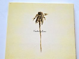 Cd Patrick Watson - Wooden Arms 