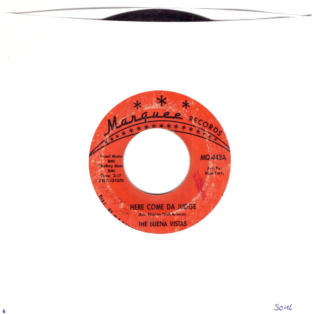Dischi in vinile: THE BUENA VISTAS – Usato da Bassersdorf venduto da house-of-vinyl