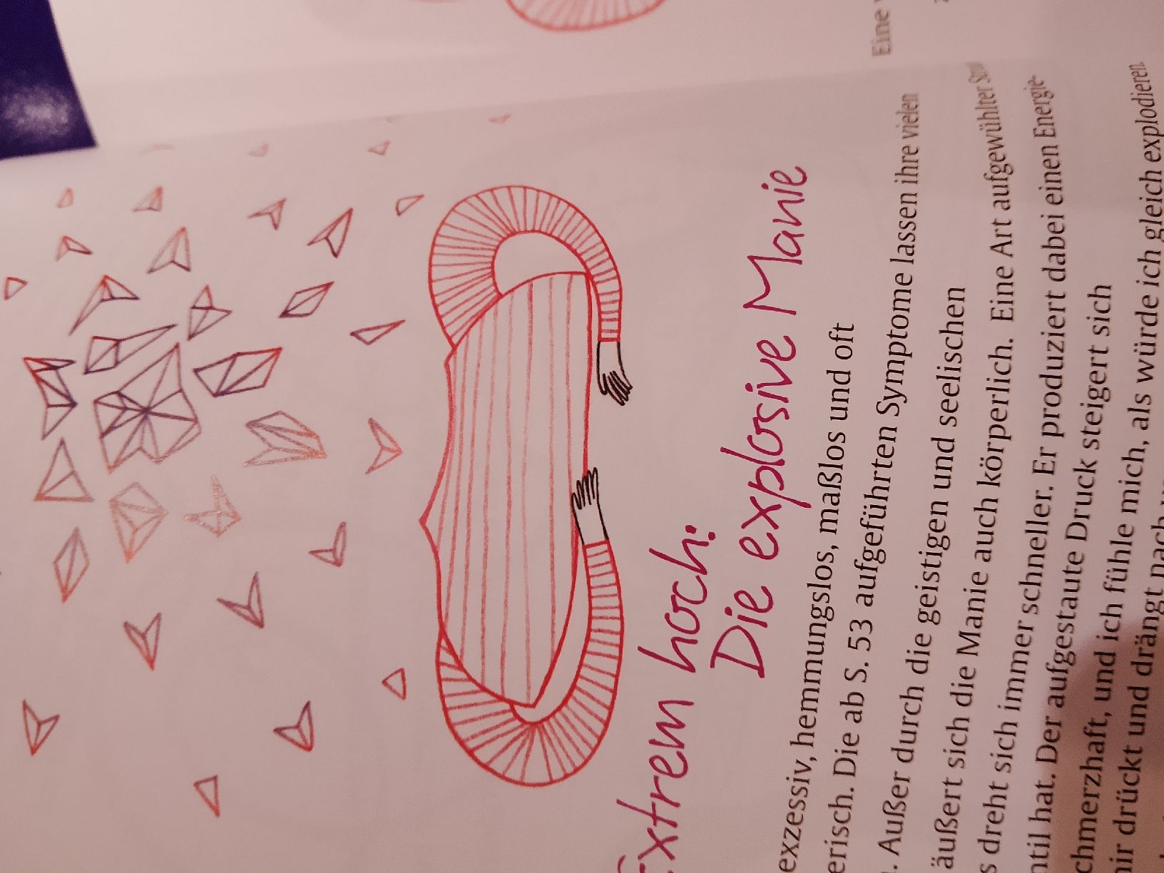 Libri: Der Bipolare Spagat – Nuovo (secondo la descrizione) da Volken venduto da katz5 3