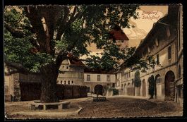 AK Burgdorf, Großer Baum im Schloßhof