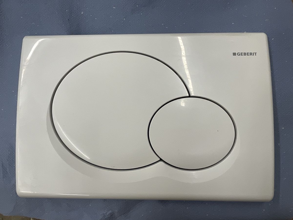 Geberit WC: Drückerplatte GEBERIT – Usato da Winterthur venduto da sje3