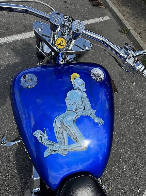 Harley-Davidson Strada: Harley Davidson custom – Usato da Vevey venduto da Chupita-met 4