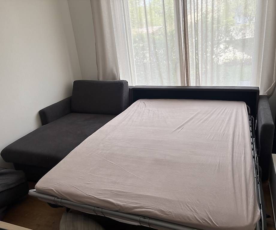 Divani: Bettsofa - sehr guter Zustand – Usato da Malters venduto da kirsotto 1