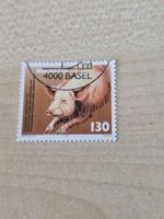 2004 Schweizer Tierschutz