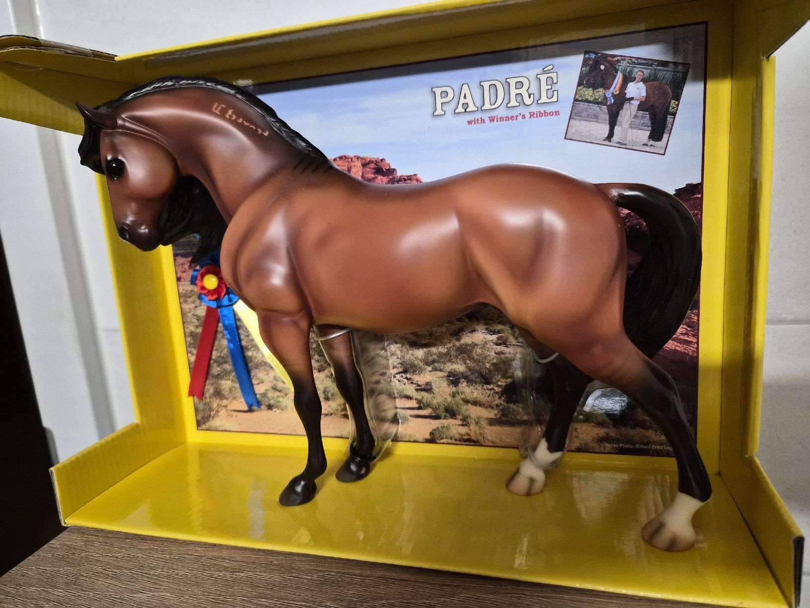 Statuette: Breyer  – Nuovo (secondo la descrizione) da Walterswil BE venduto da Yviburi75 2
