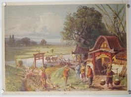 Historisches Schulwandbild  – Reis (Oryza sativa)