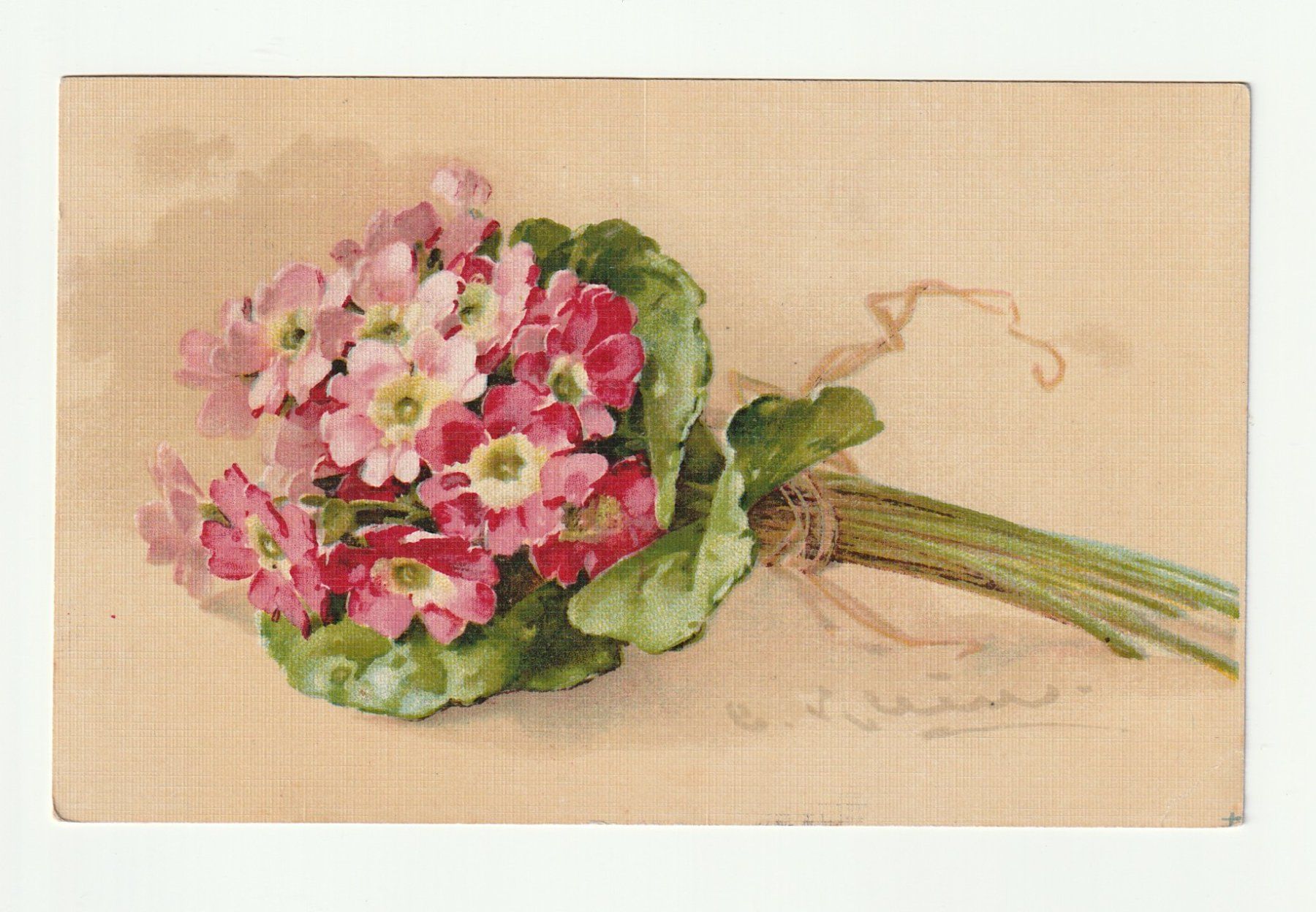 Ansichtskarten: Ansichtskarte Blumenmotiv Primeln 1917 – Gebraucht aus St. Gallen von Ricardo_Deals