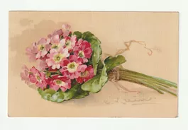 Ansichtskarte Blumenmotiv Primeln 1917