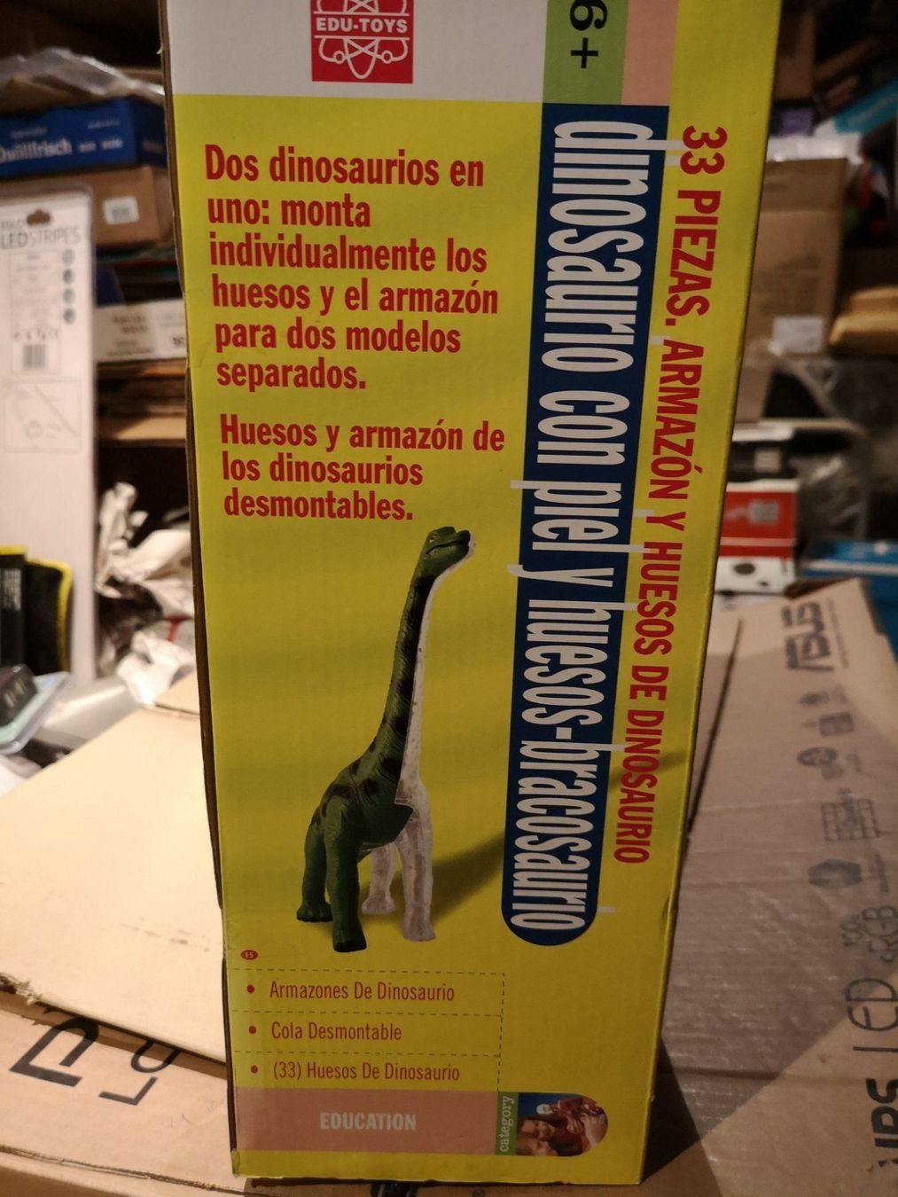 Giocattoli: Dinosaurier Large Skin 'n Bones Dinosaur Dino Brachio Saurus – Nuovo e nell'imballaggio originale da Kloten venduto da Euroasia 7