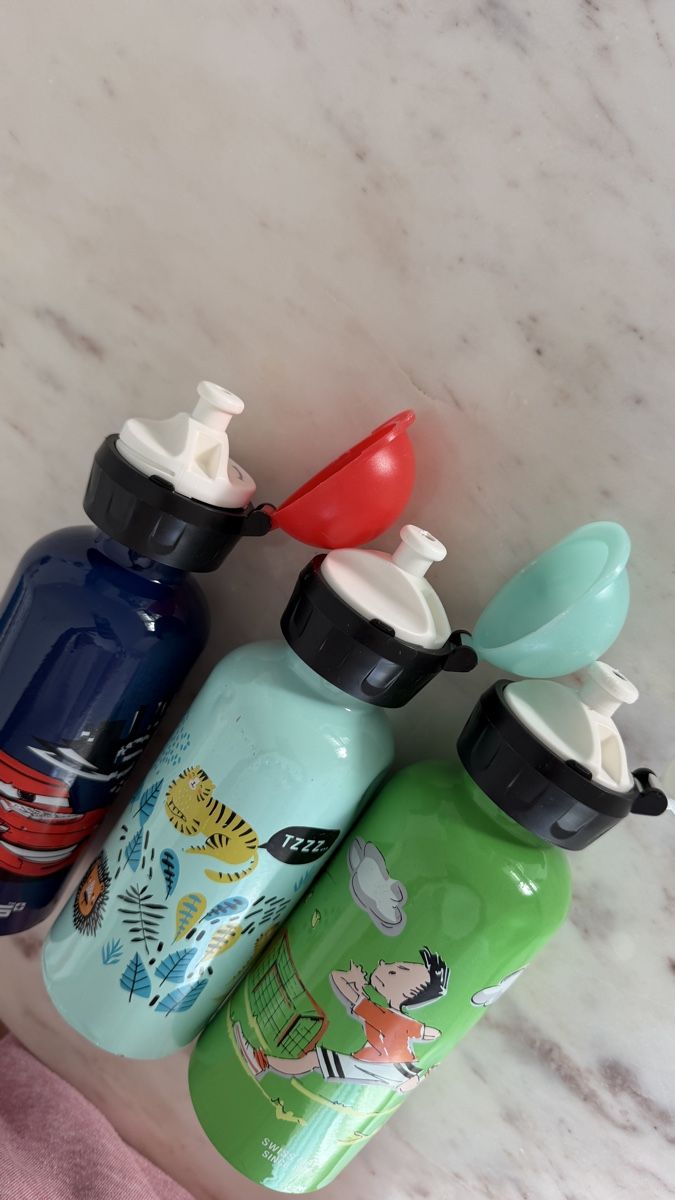 Sigg Borracce & Thermos: 3 SIGG Flaschen 0.4 L – Usato da Steinhausen venduto da inmumi 1