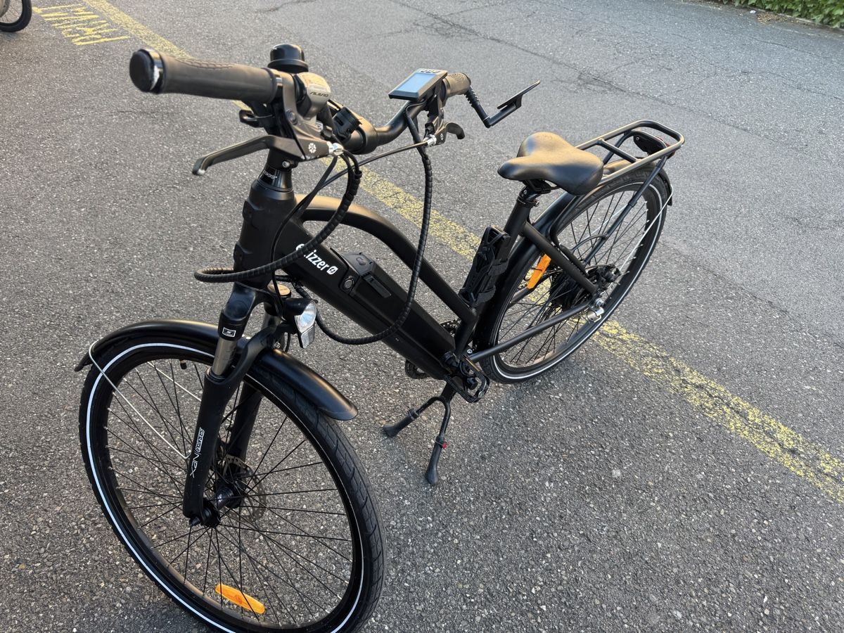 Eflizzer Biciclette: Eflizzer e-bike City V2 – Usato da Dintikon venduto da jet_q5xl