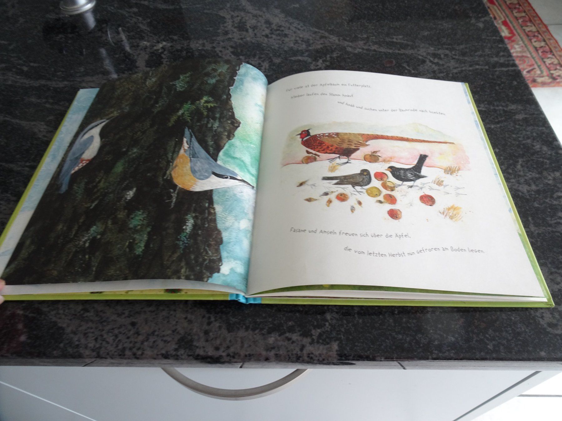 Libri: Bilderbuch Unser Apfelbaum - Neuwertig wunderschöne Bilder – Usato da Zürich venduto da Roulet 2