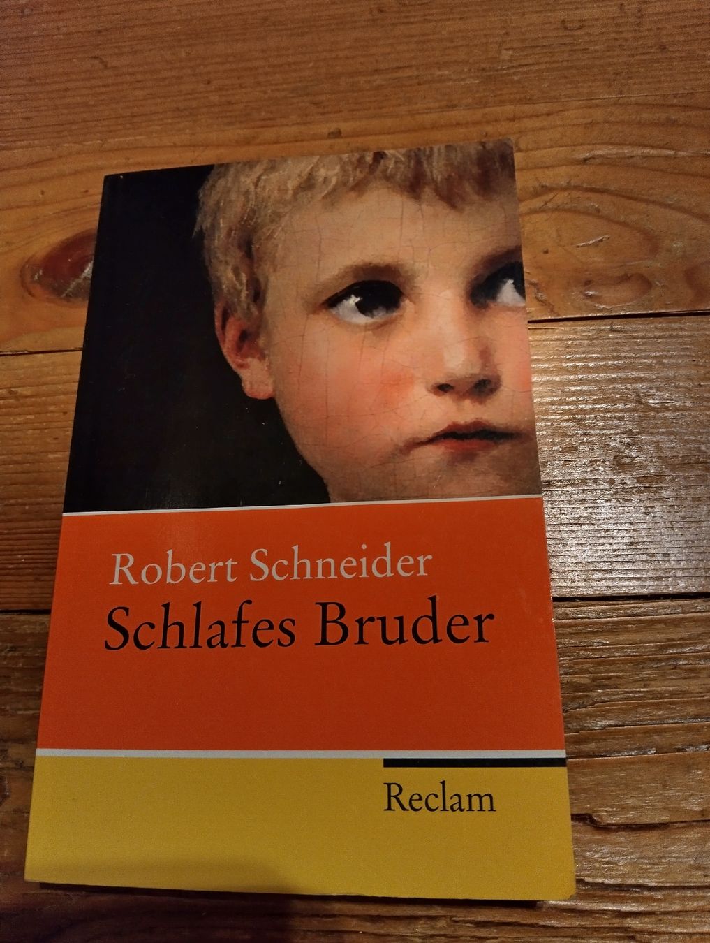 Libri: Schlafes Bruder – Usato da Rüedisbach venduto da aendu010