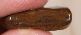 Queensland Opalton Rohopal 26.00Cts.