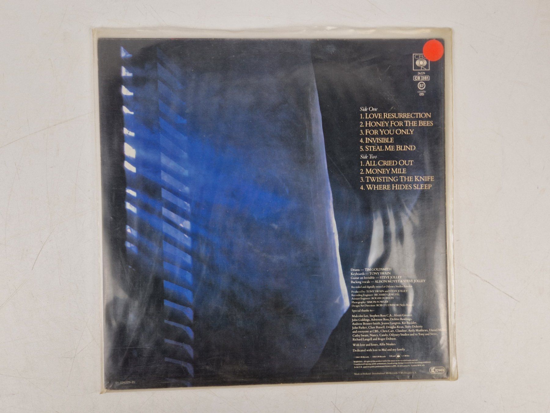 Dischi in vinile: Alison Moyet (1 LP) – Usato da Muhen venduto da Restwert_Muhen 1