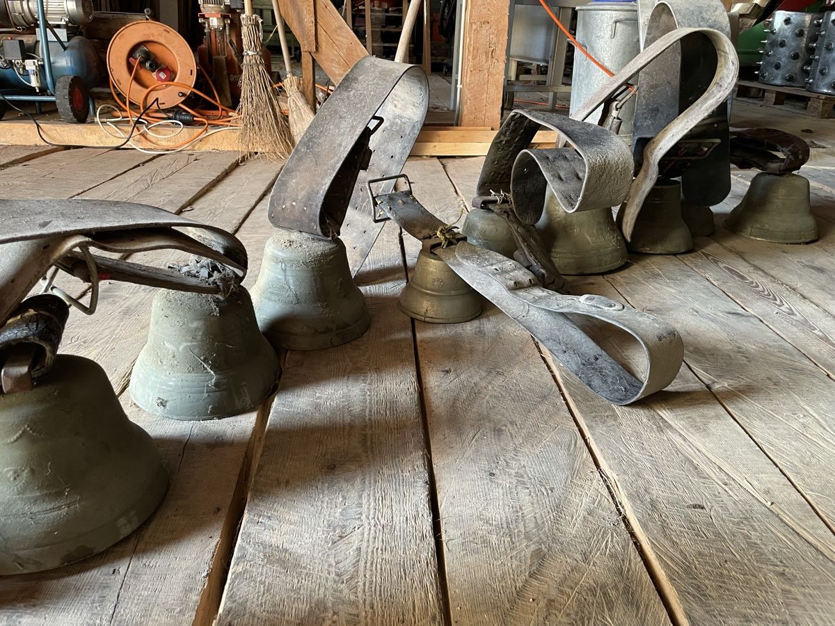 Glocken & Treicheln: Glocken, Schellen grosser Posten! – Gebraucht aus Burgistein von hac_72zv 3