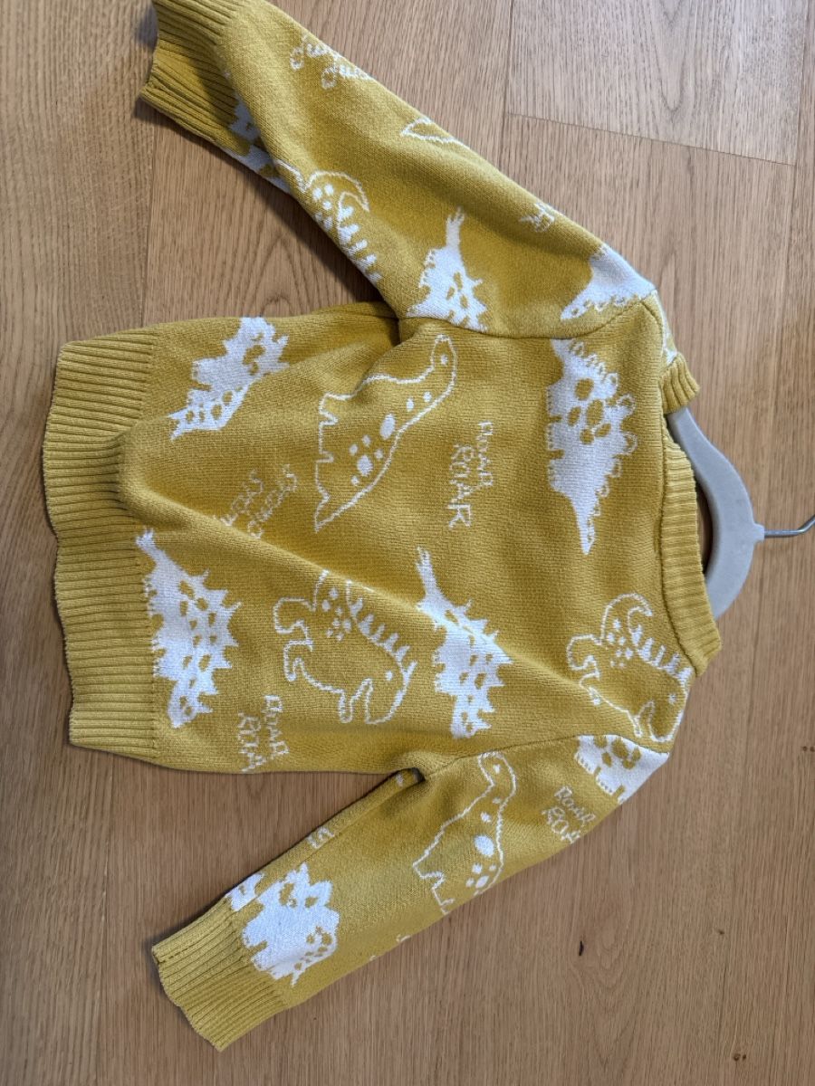 Maglioni & Felpe: Dino-Pulli - Grösse 18-24M – Nuovo (secondo la descrizione) da Sonnental venduto da sop_9scm 1
