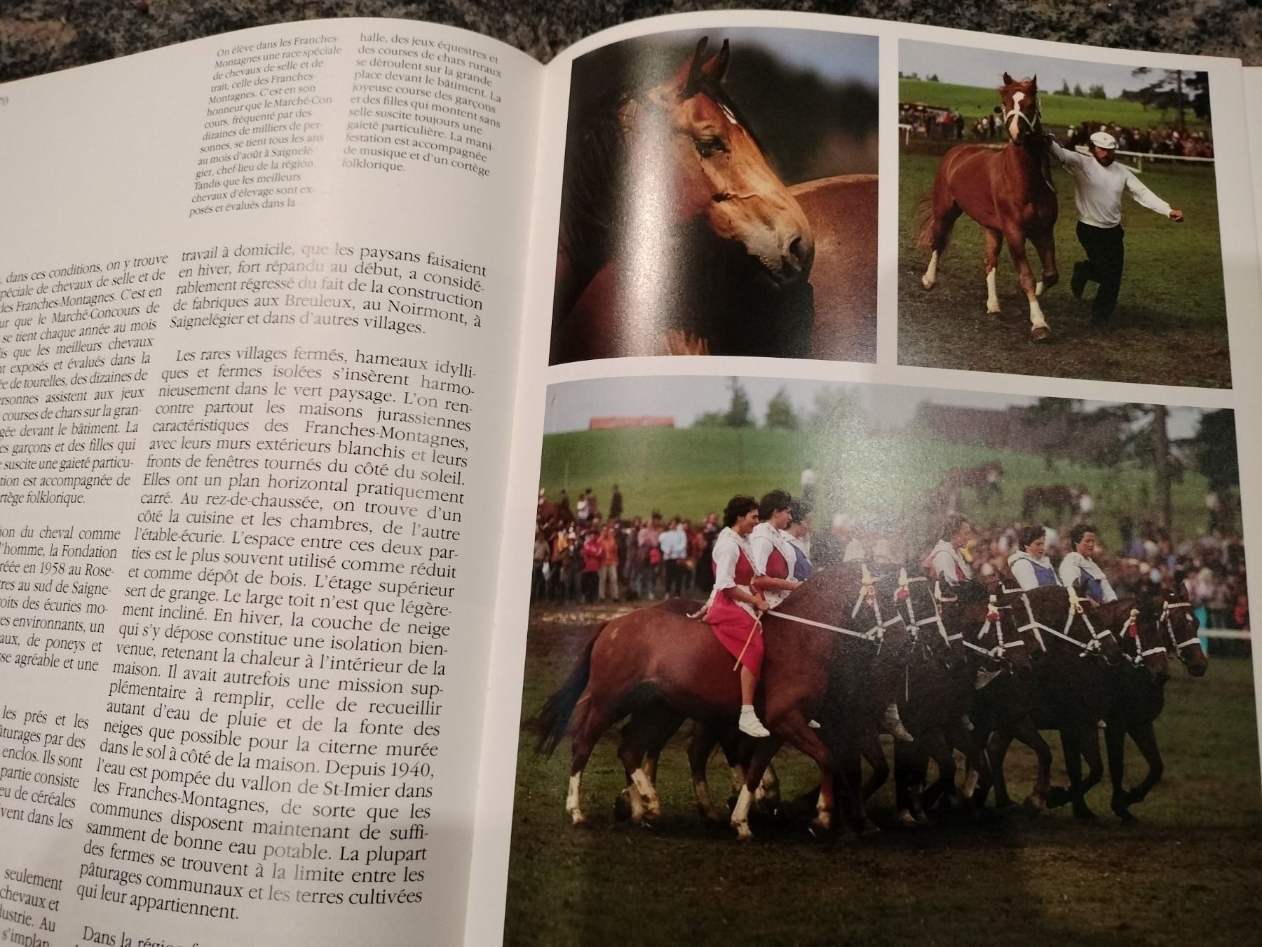Libri: Le Jura Éditions Silva 1986 – Usato da Cortaillod venduto da rozinna 2
