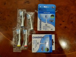 Ersatzzahnbürsten zu Candida Zahnbürste
