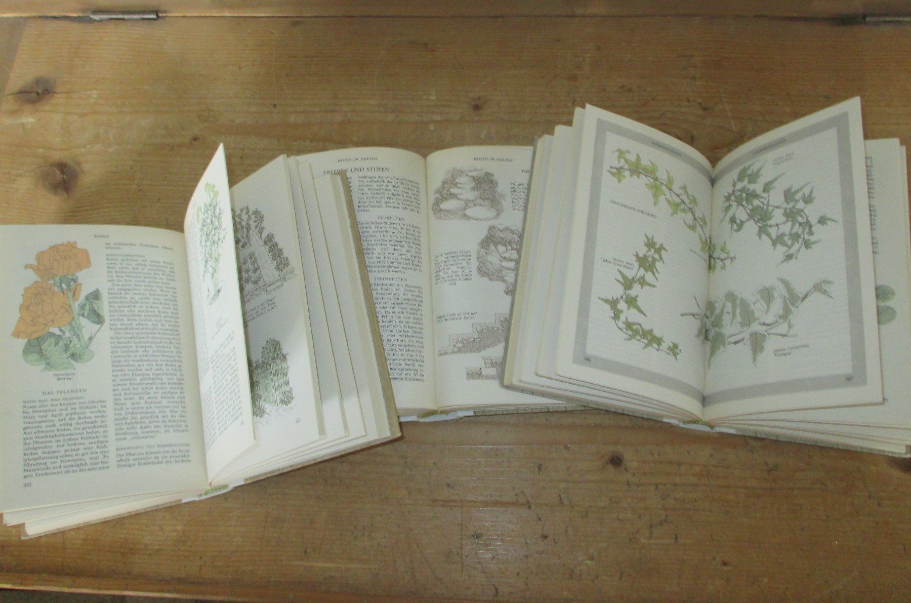 Libri: Reader's Digest Gartenbücher, 3 Bände – Usato da Flims - Dorf venduto da Stagediver 1