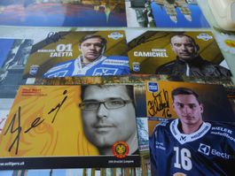 CA 50 Autogrammkarten Wintersport