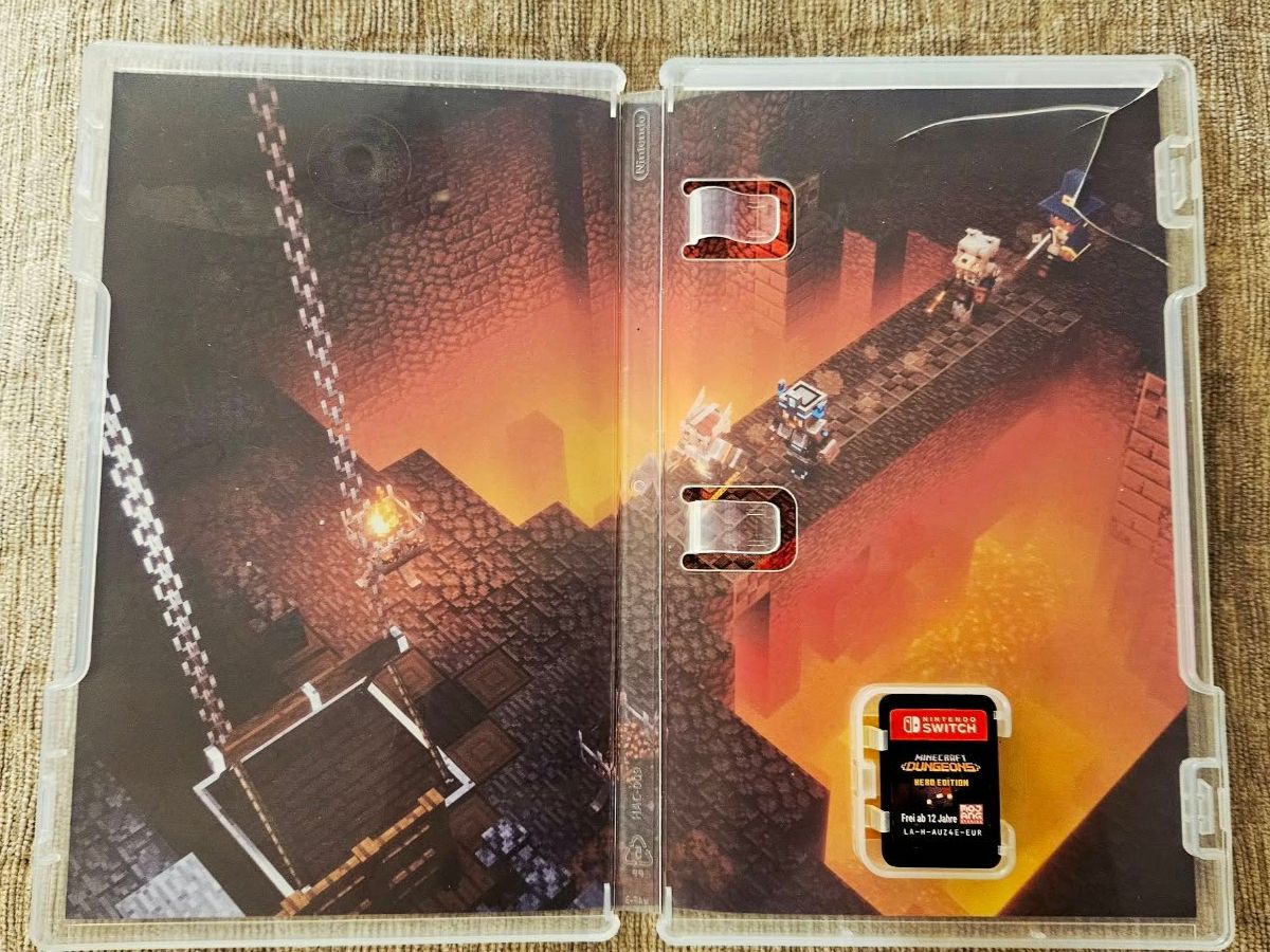 Giochi: Minecraft Dungeons Hero Edition - Nintendo Switch – Usato da Dietikon venduto da ric_567f 1