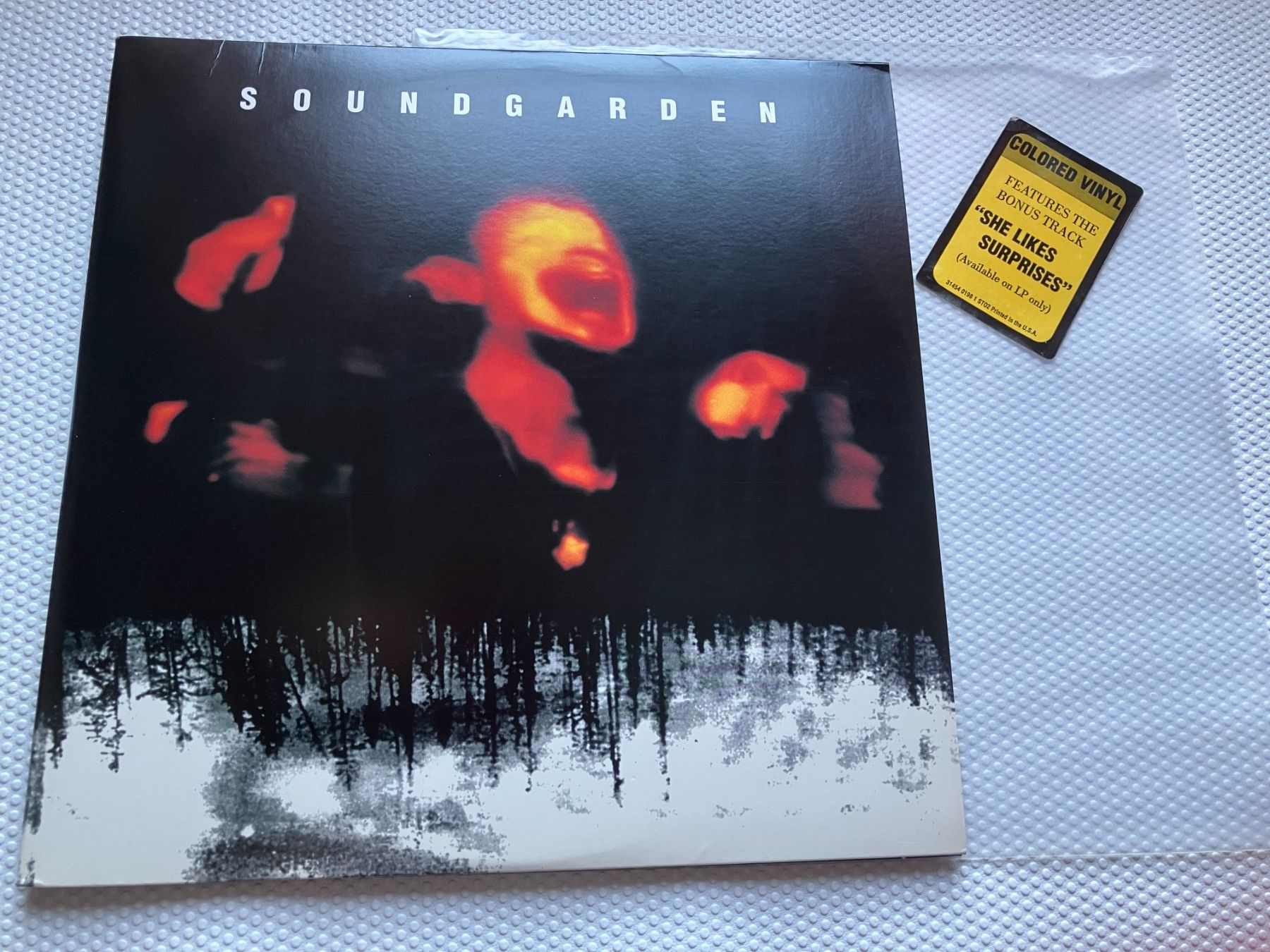 Dischi in vinile: Soundgarden – Usato da Aarwangen venduto da Jukebox3