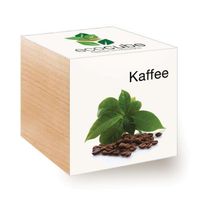 ecocube Kaffee - Zimmerpflanze im Holzwürfel - Neu!