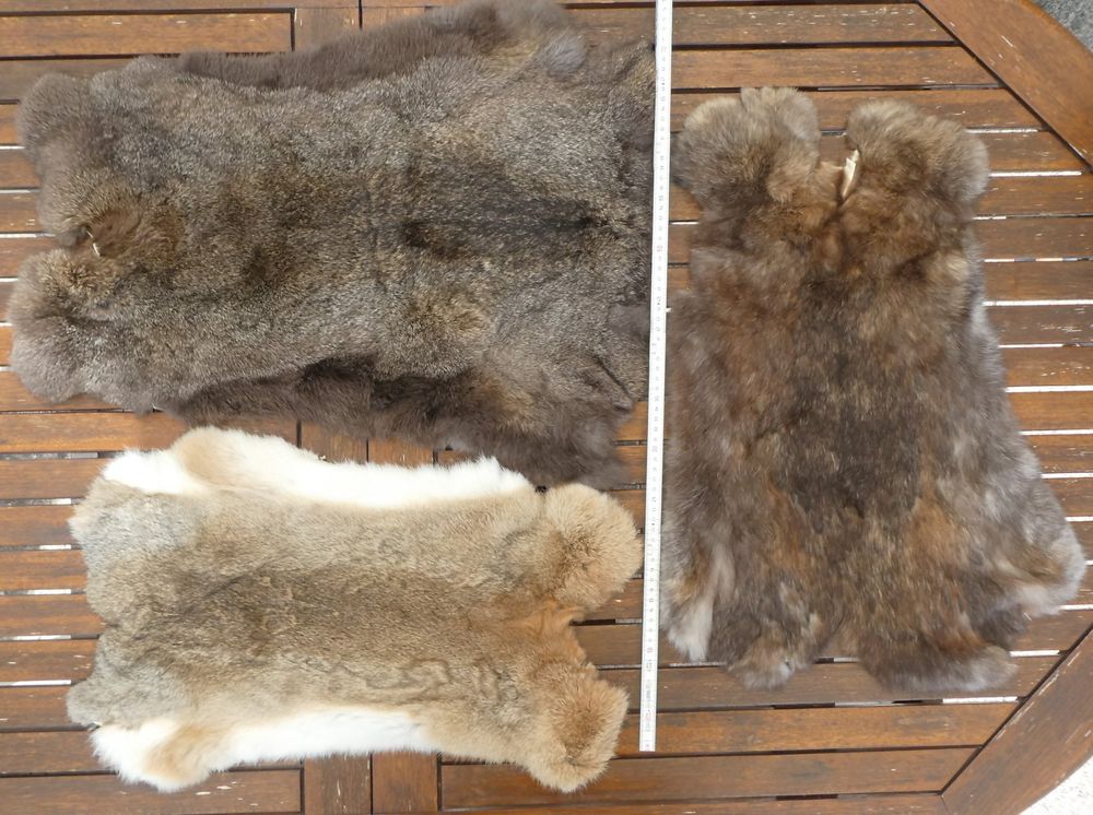 3 grosse Hasenfelle Kaninchenfelle Hasenfell Kaninchenfell Kaufen auf