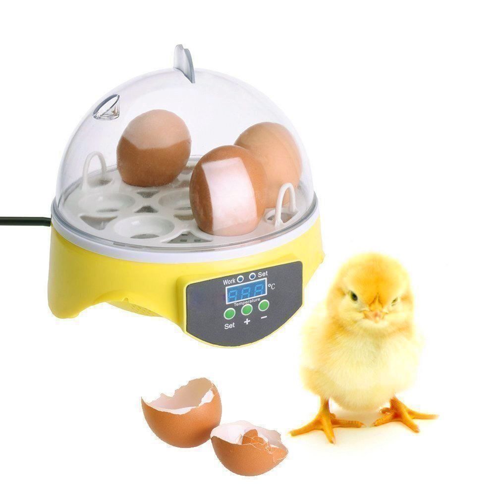 Altro in Accessori per animali: Brutgerät für 7 Eier, Inkubator Küken Schlupfbrüter – Nuovo (secondo la descrizione) da Thun venduto da Top32