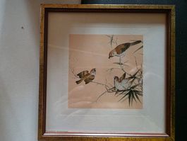 coloriertes antikes Vogel Seiden Bild Holz Rahmen