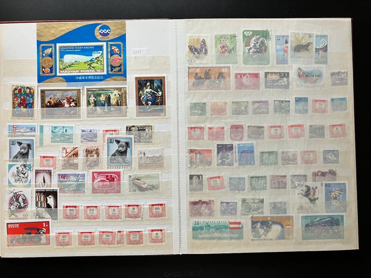 Tutti i francobolli: Ungarnsammlung im Steckalbum – Usato da Nesslau venduto da andi_hon 4