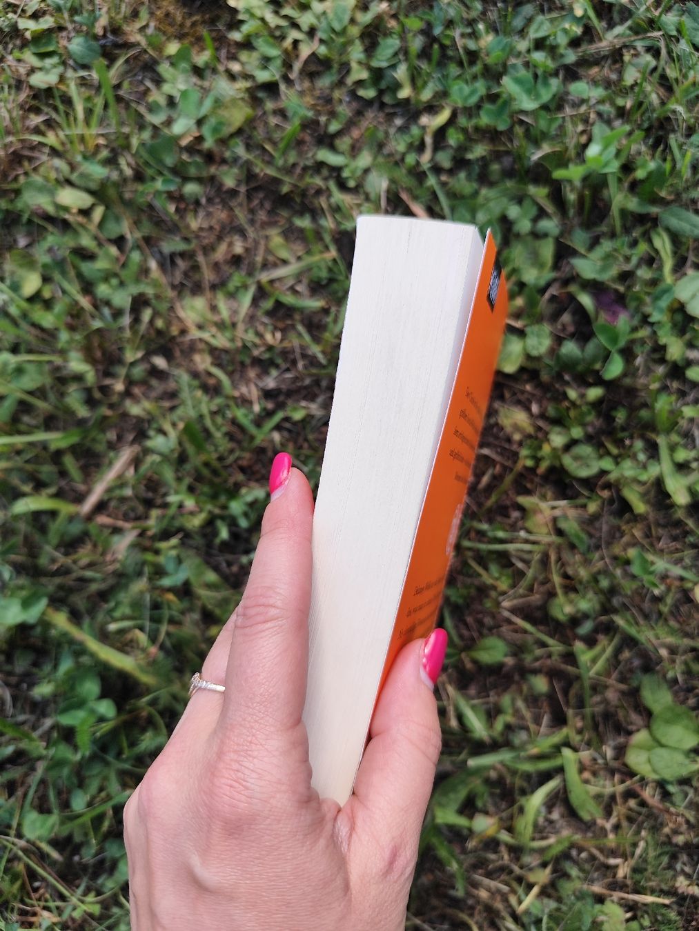 Bücher: Dave Eggers "Every" – Gebraucht aus Mägenwil von VintageGirly 3