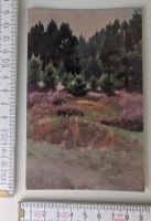 Vintage Postkarte, Wald-Motiv, unbeschrieben
