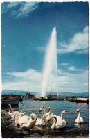 Genf / Genève -  Jet d'eau et le Cygnes