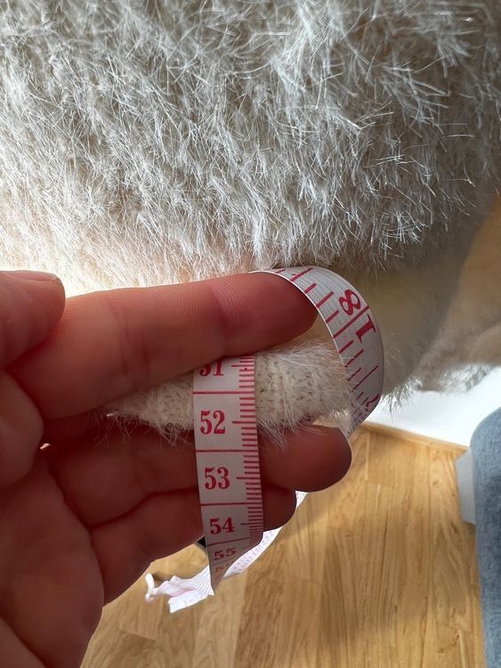 Maglioni & Felpe: Flauschiger Winterpullover, creme, Gr. m, neuwertig! – Nuovo e nell'imballaggio originale da Riehen venduto da edu_92w7 2