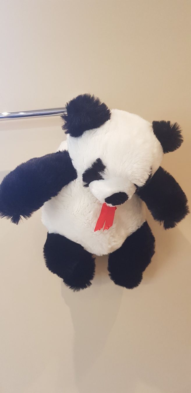 Kindertaschen: Kinderrucksack "PANDA" – Gebraucht aus Dietikon von grafad 1