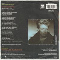 Bryan Adams with Tina Turner - It's only Love 7" Vinyl 1983