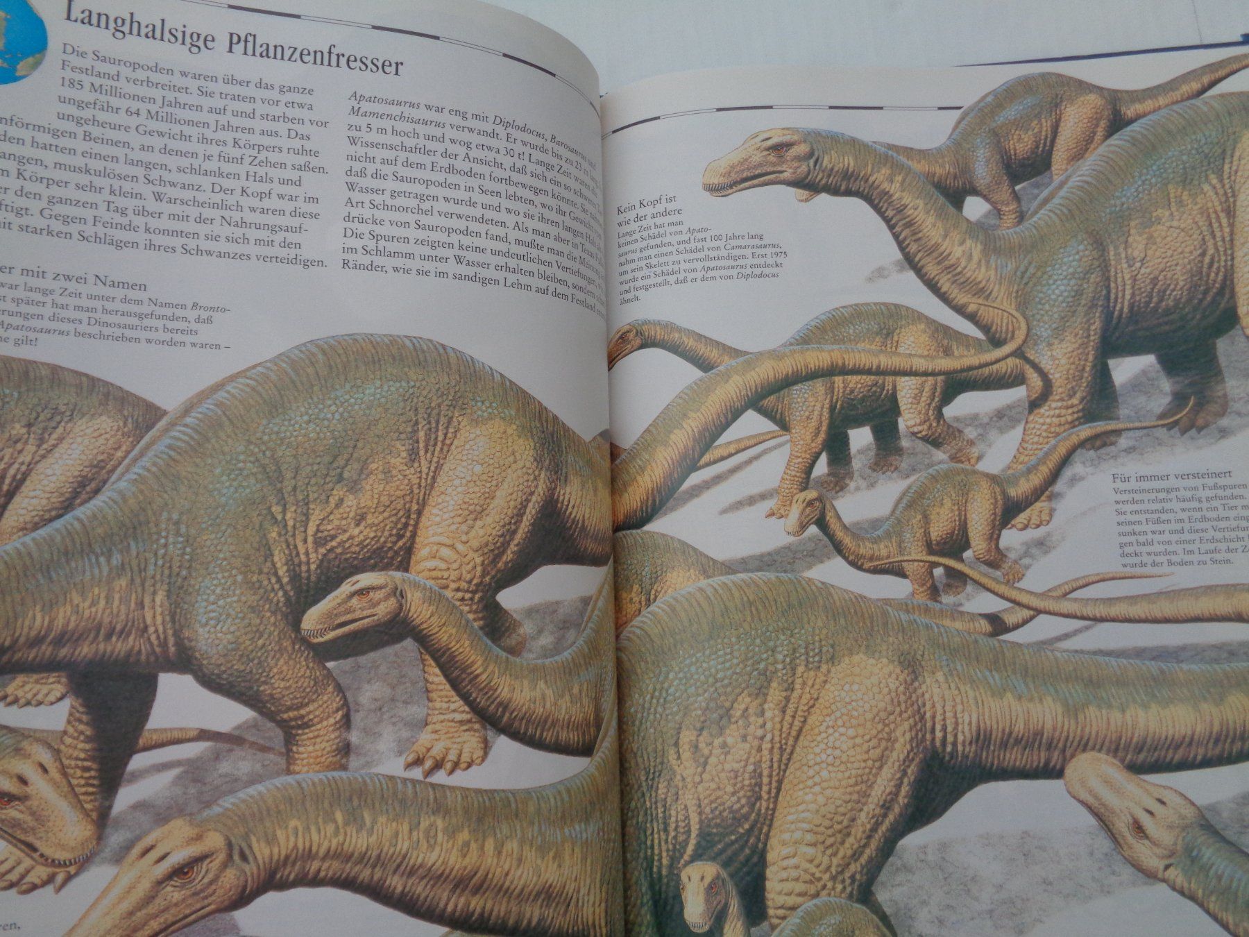 Libri: Bildatlas der Dinosaurier - entdecken - vergleichen – Usato da Chur venduto da Oregano1 8