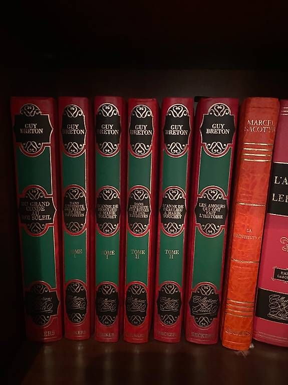 Libri: Châteaux suisses  découvertes de la suisse – Usato da Ardon venduto da Jm8 3