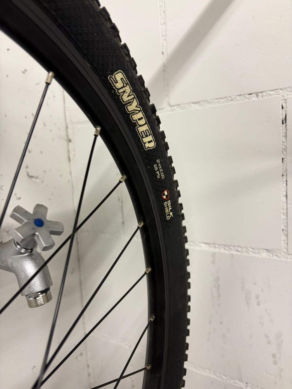Early Rider Biciclette: Early Rider Charger 24 – Usato da Zürich venduto da Clarendon 2