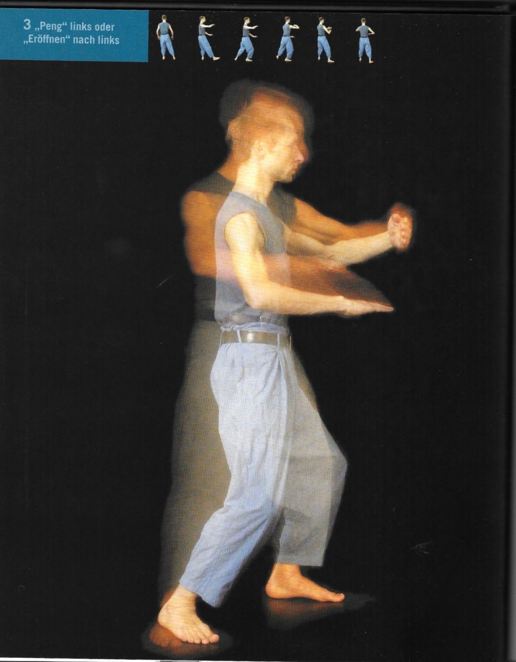 Livres: Tai Chi spielen - Daniel Grolle – D'occasion à Unterbäch VS par bstrutt 2