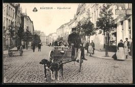 AK Kortrijk, Rijsselstraat, Hundegespann