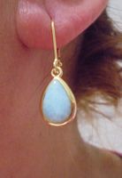 Echtschmuck: Larimar Silberohrringe