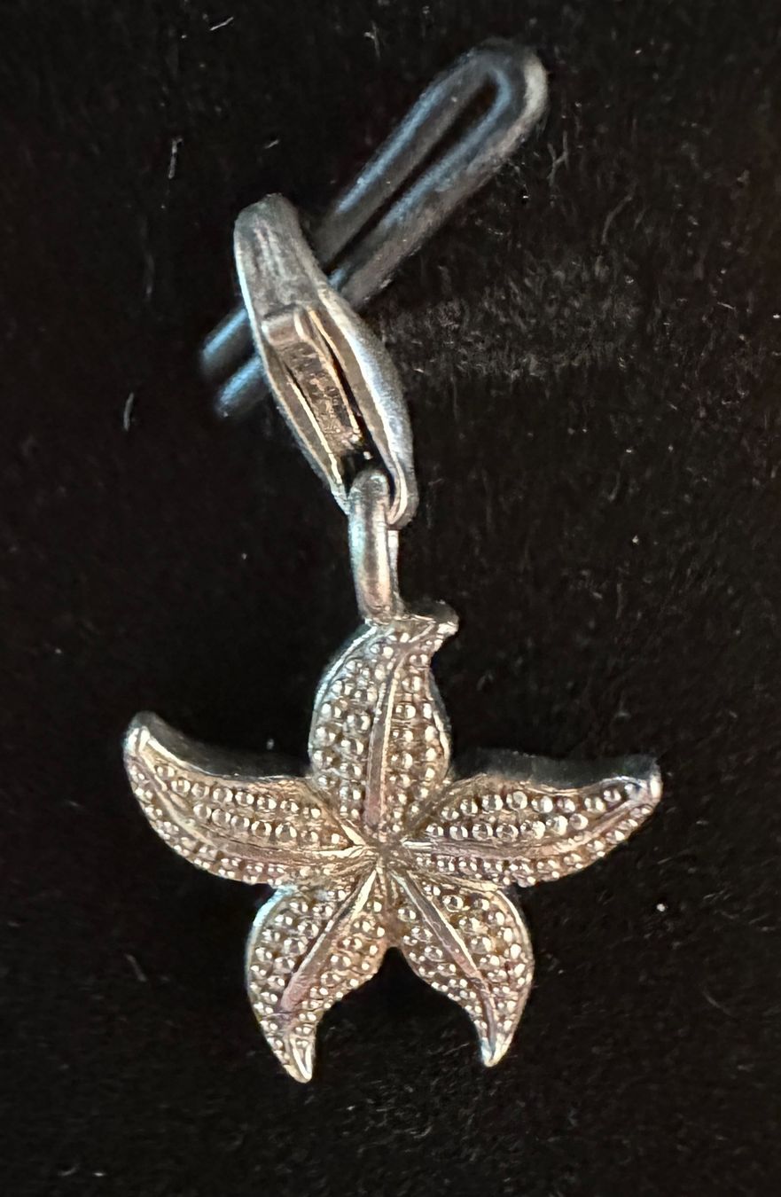 Thomas Sabo Anhänger: Thomas Sabo Charm Seestern Silber 925 – Gebraucht aus Wildberg von TradeMe