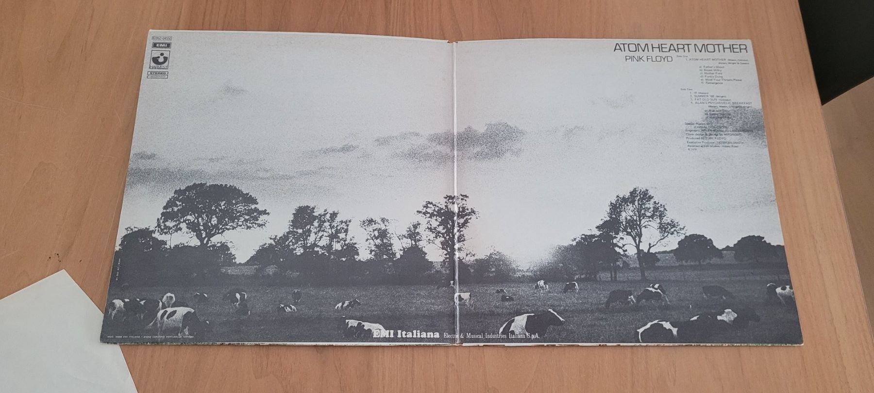Schallplatten: LP  Pink Floyd – Gebraucht aus Martigny von MZ-67 1