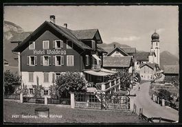 AK Seelisberg, Hotel Waldegg